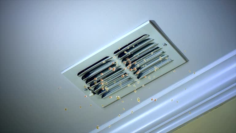 Best Air Duct Cleaning Near Me  in Carbondale, IL