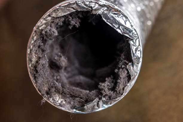 Best HVAC Air Duct Cleaning  in Carbondale, IL