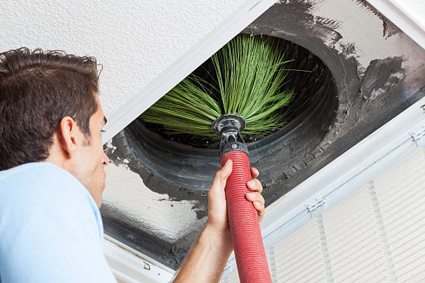 Best HVAC Air Duct Cleaning  in Carbondale, IL