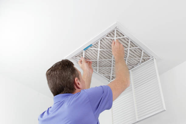 Best HVAC Duct Inspection Services  in Carbondale, IL